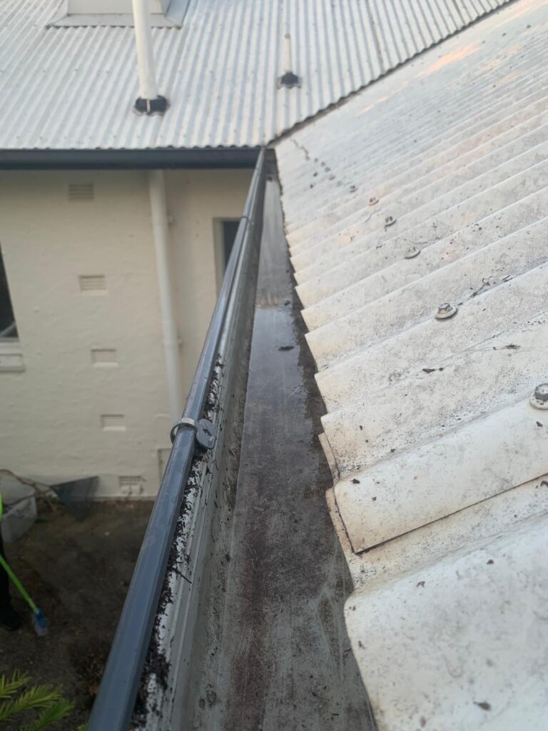 WhatsApp Image 2026-01-27 at 22.32.54 (1)