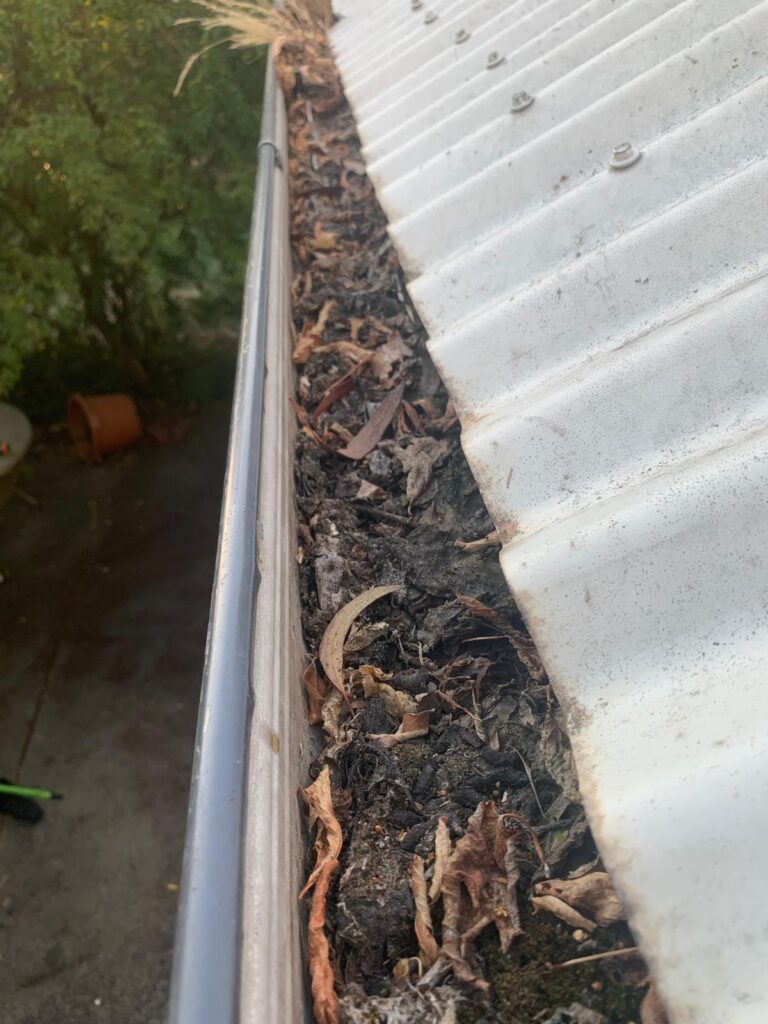 WhatsApp Image 2026-01-27 at 22.32.55 (1)