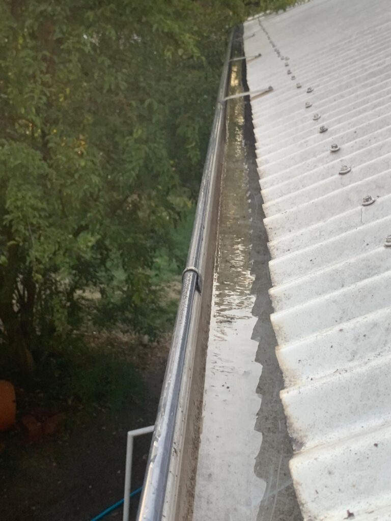 WhatsApp Image 2026-01-27 at 22.32.55