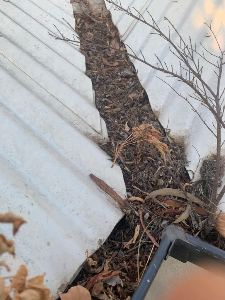 WhatsApp Image 2026-01-27 at 22.32.56 (1)