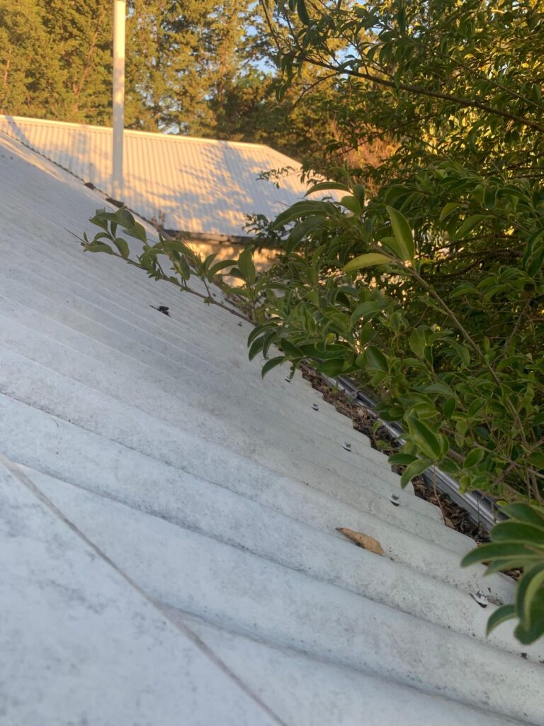 WhatsApp Image 2026-01-27 at 22.32.56 (2)