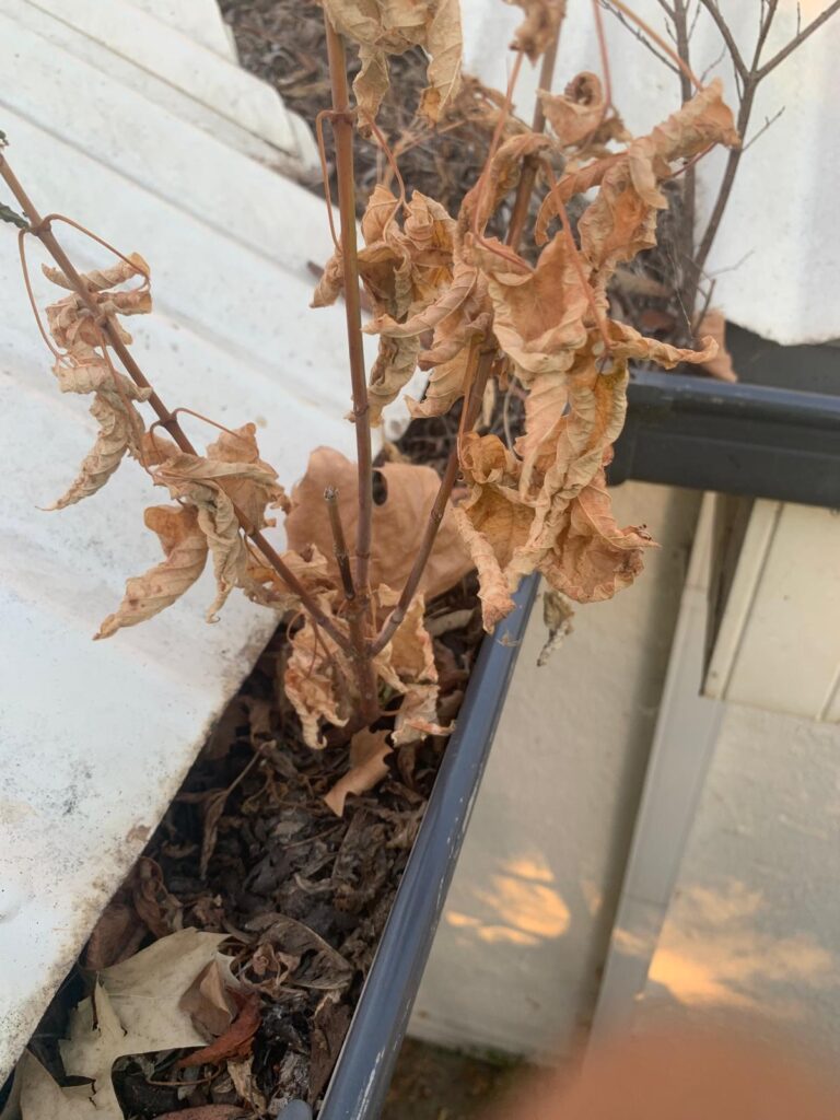 WhatsApp Image 2026-01-27 at 22.32.56