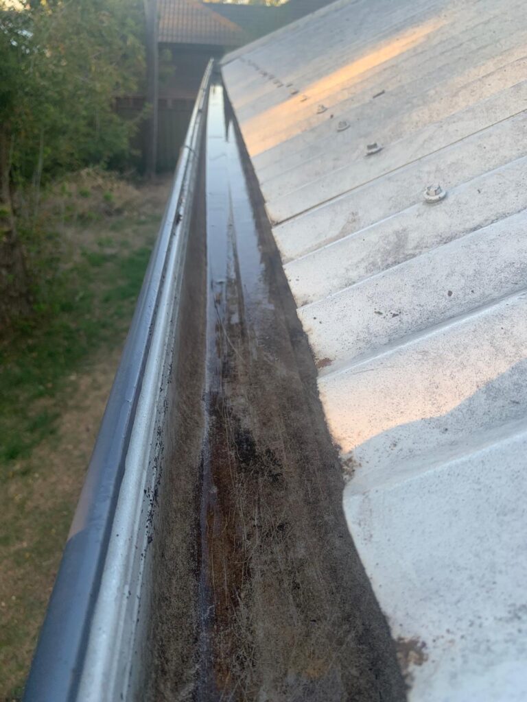 WhatsApp Image 2026-01-27 at 22.32.57 (1)