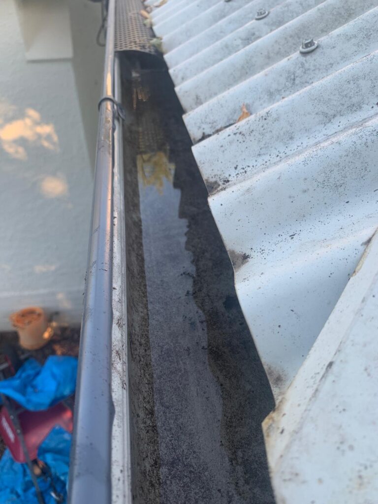 WhatsApp Image 2026-01-27 at 22.32.57 (2)