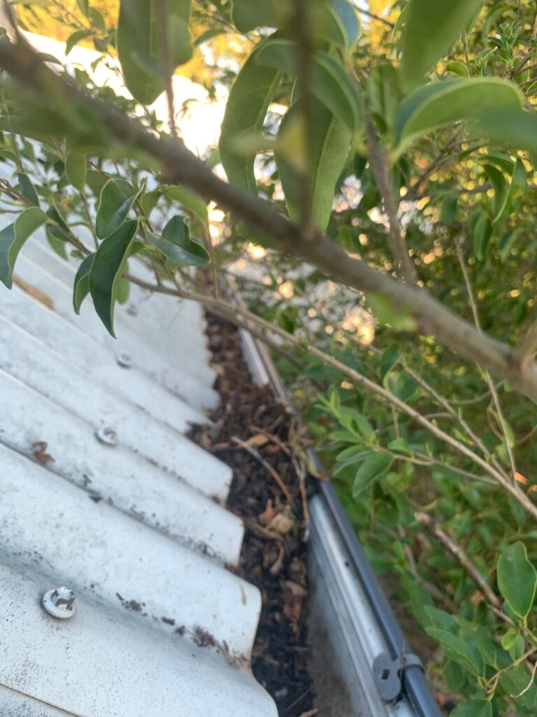 WhatsApp Image 2026-01-27 at 22.32.57