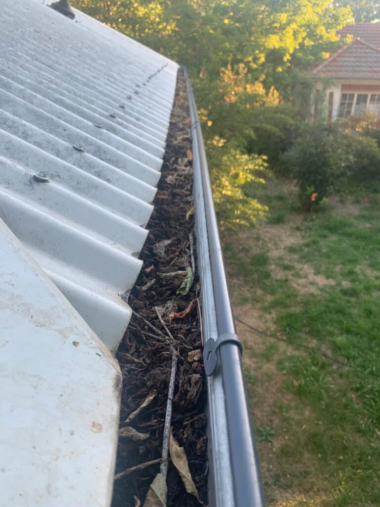 WhatsApp Image 2026-01-27 at 22.32.58 (1)