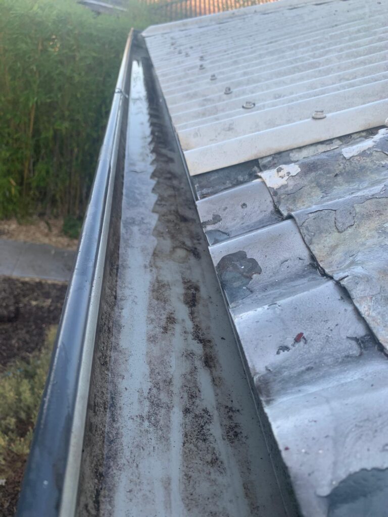 WhatsApp Image 2026-01-27 at 22.32.58 (2)