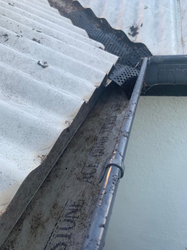 WhatsApp Image 2026-01-27 at 22.32.59 (1)