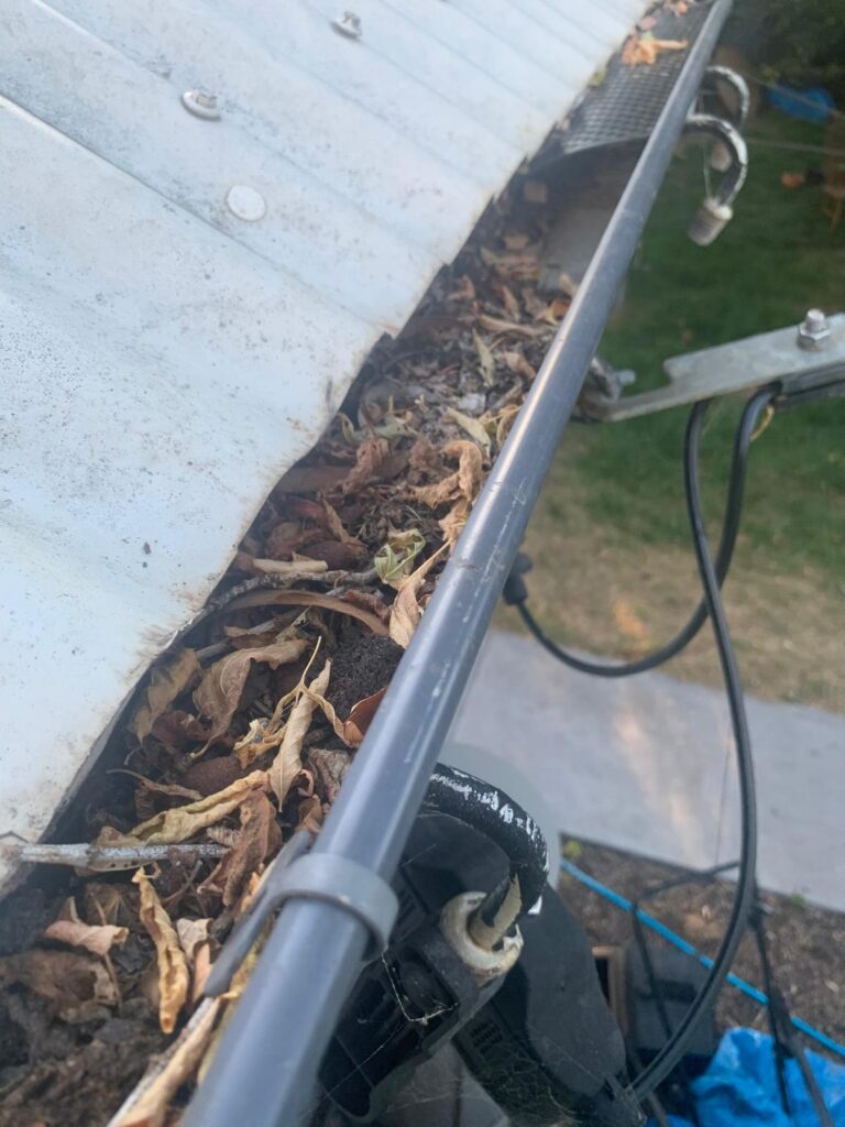 WhatsApp Image 2026-01-27 at 22.32.59 (2)