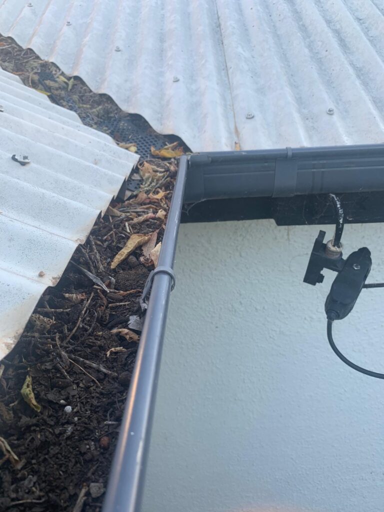 WhatsApp Image 2026-01-27 at 22.32.59 (3)