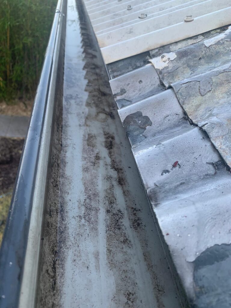 WhatsApp Image 2026-01-27 at 22.32.59