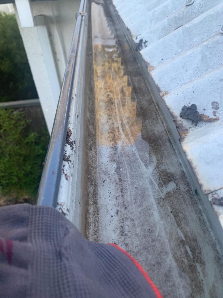 WhatsApp Image 2026-01-27 at 22.33.00 (1)