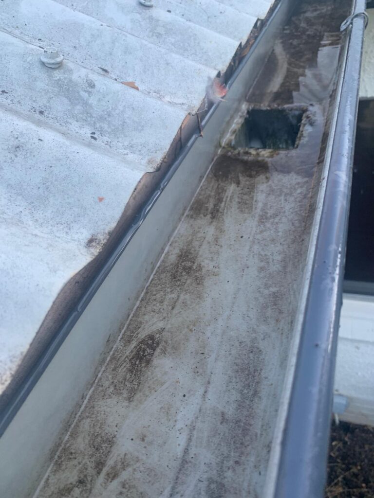 WhatsApp Image 2026-01-27 at 22.33.00 (2)