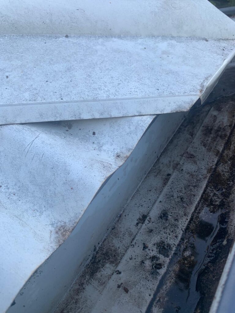 WhatsApp Image 2026-01-27 at 22.33.00