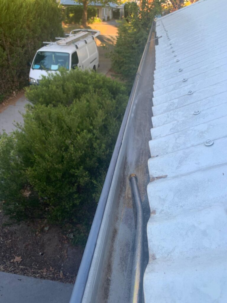 WhatsApp Image 2026-01-27 at 22.33.01 (1)