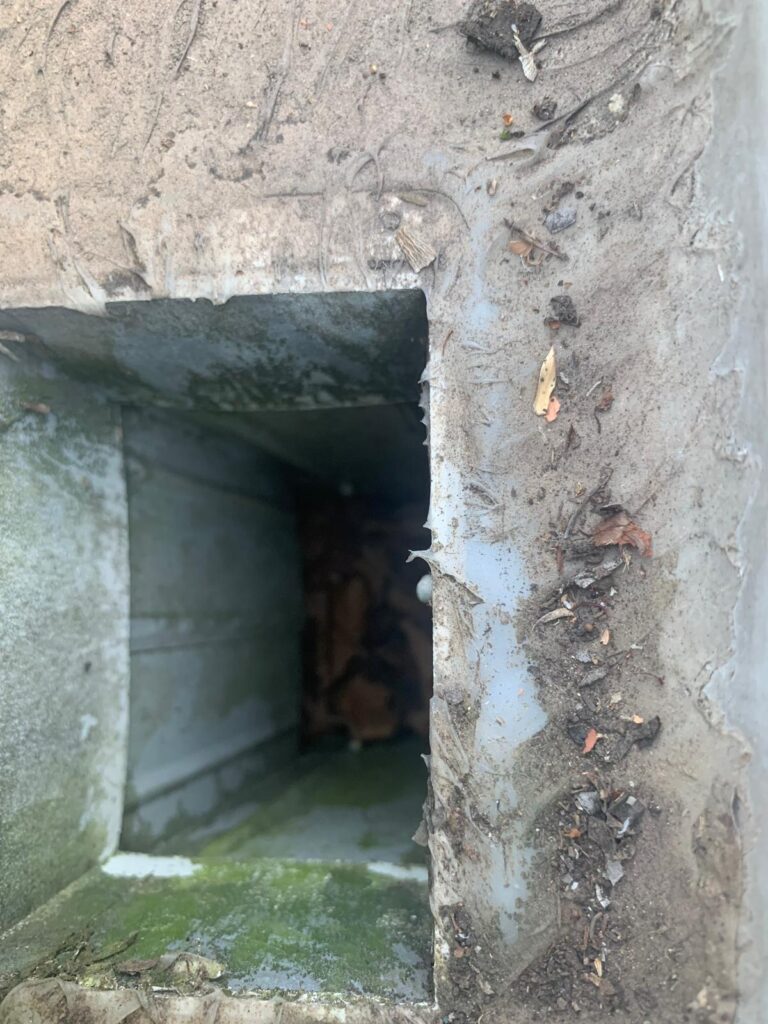 WhatsApp Image 2026-01-27 at 22.33.01 (2)