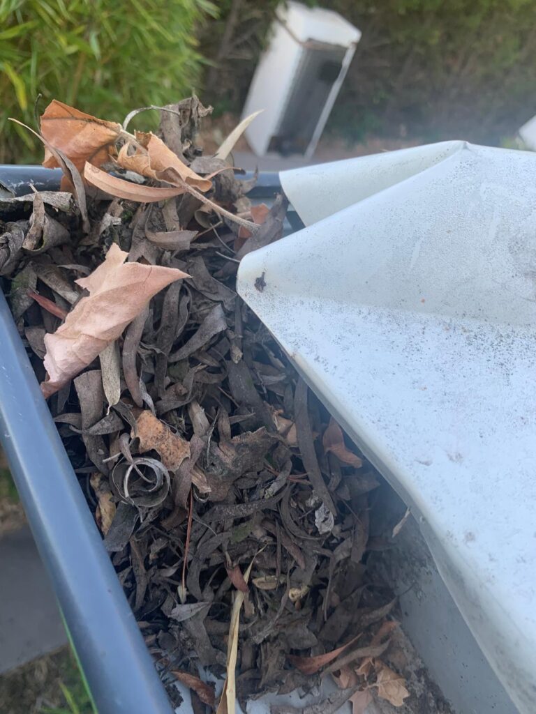 WhatsApp Image 2026-01-27 at 22.33.01 (3)