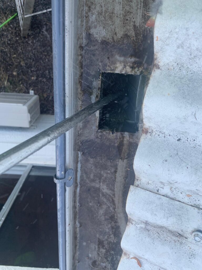 WhatsApp Image 2026-01-27 at 22.33.01