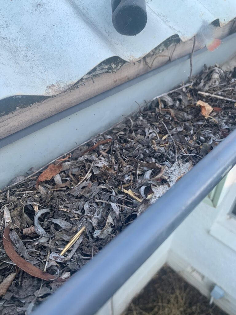 WhatsApp Image 2026-01-27 at 22.33.02 (1)