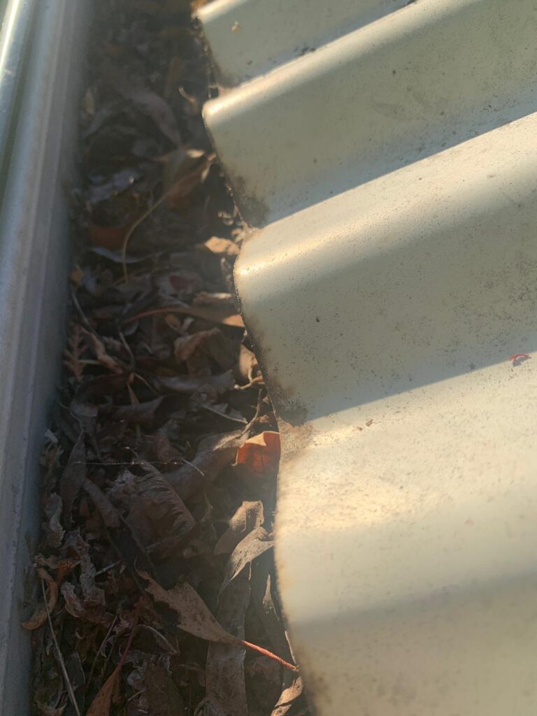 WhatsApp Image 2026-01-27 at 22.33.02 (2)