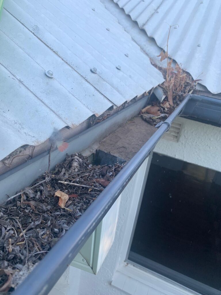 WhatsApp Image 2026-01-27 at 22.33.02