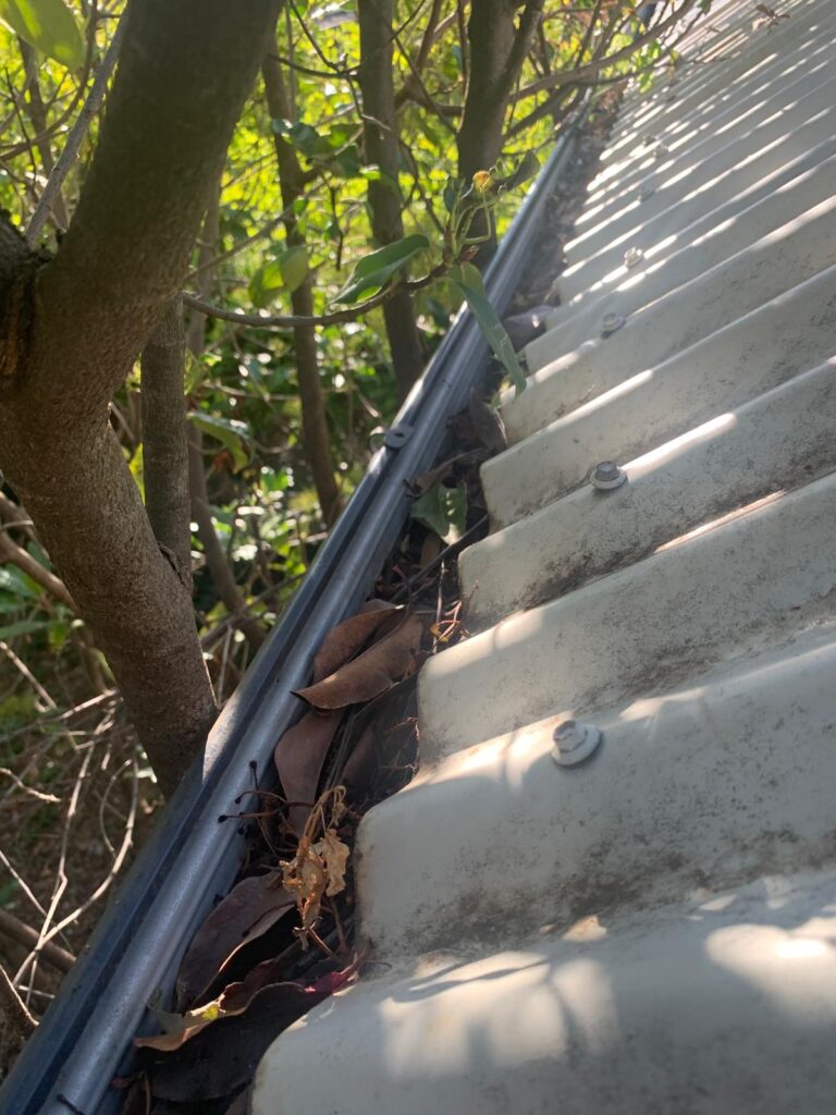 WhatsApp Image 2026-01-27 at 22.33.03 (1)