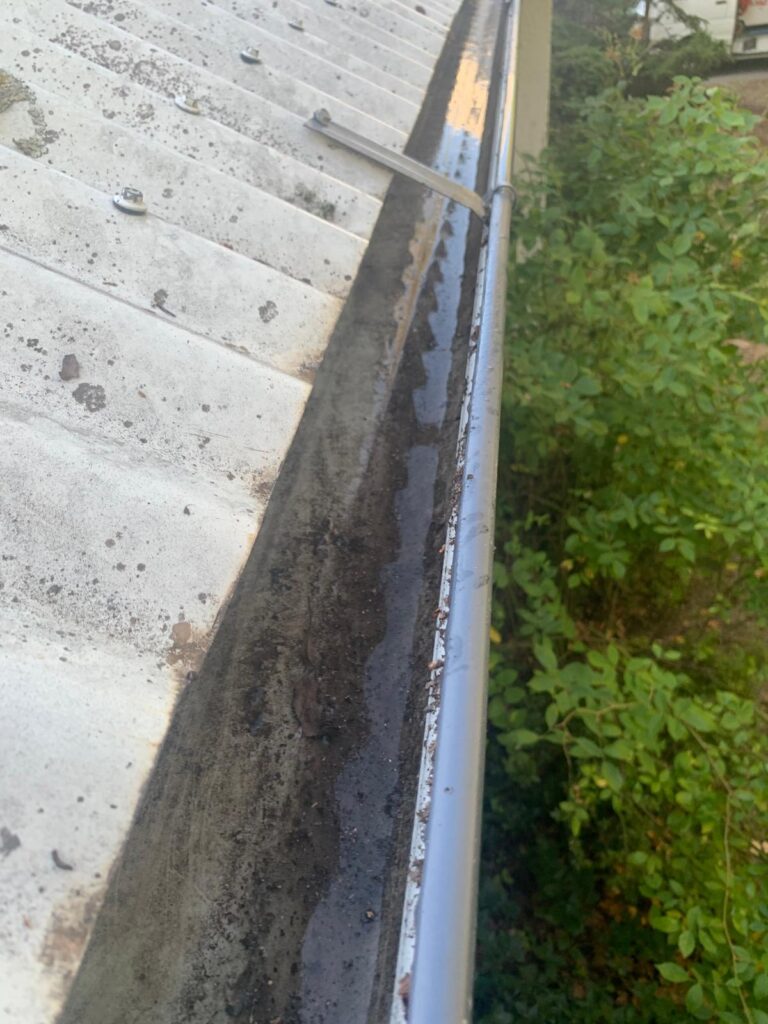 WhatsApp Image 2026-01-27 at 22.33.03 (2)