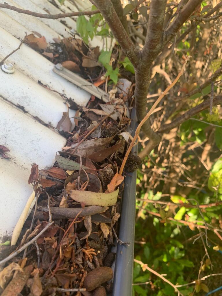 WhatsApp Image 2026-01-27 at 22.33.03