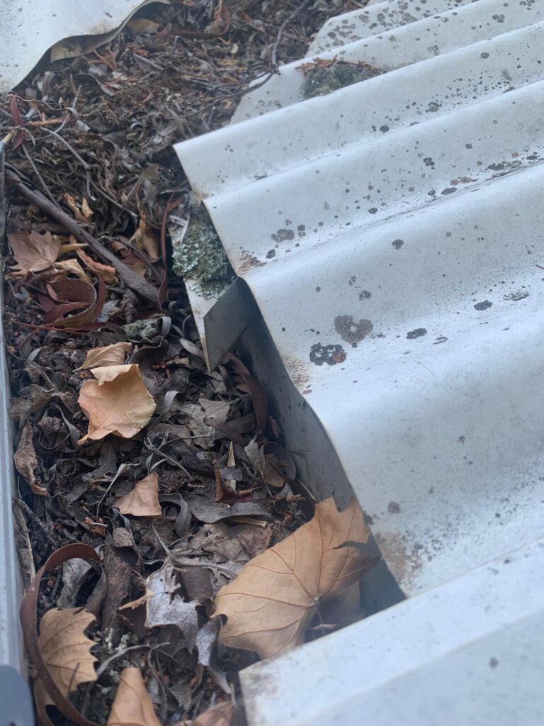 WhatsApp Image 2026-01-27 at 22.33.04 (1)