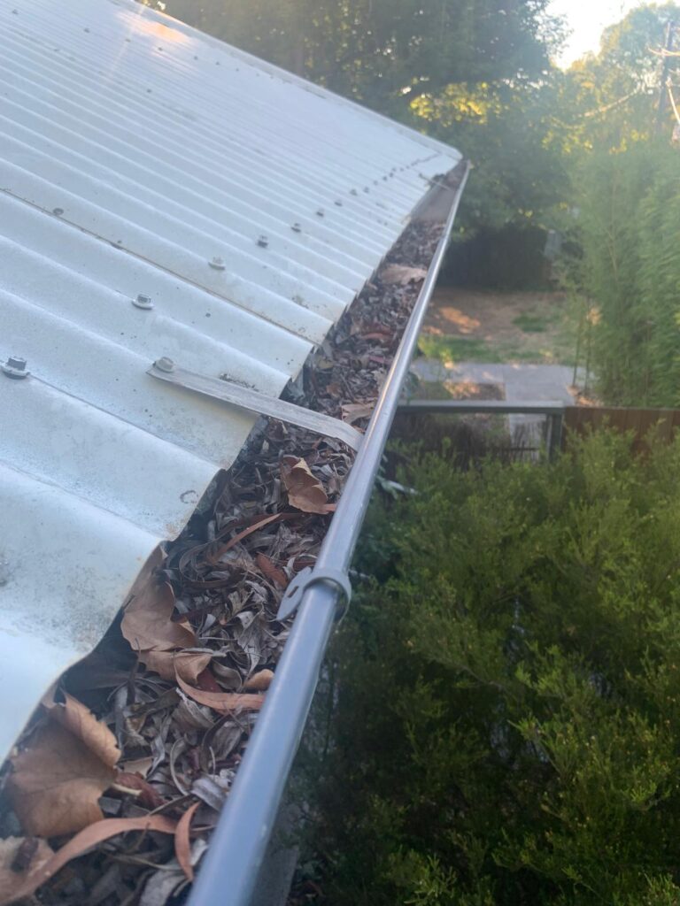 WhatsApp Image 2026-01-27 at 22.33.04 (3)