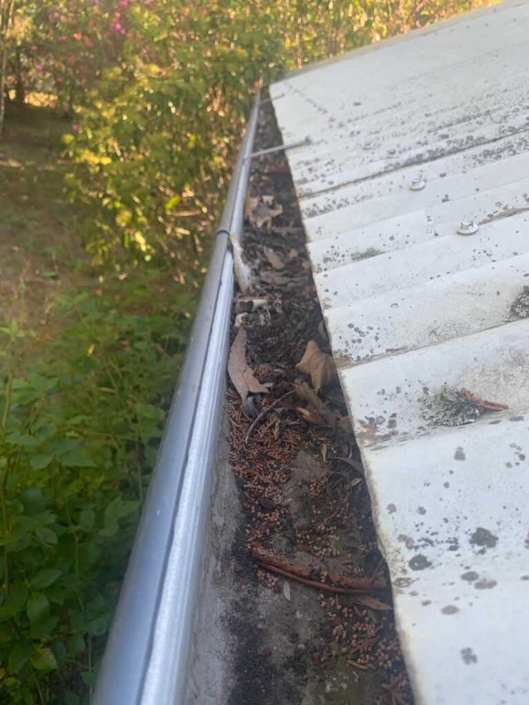 WhatsApp Image 2026-01-27 at 22.33.04