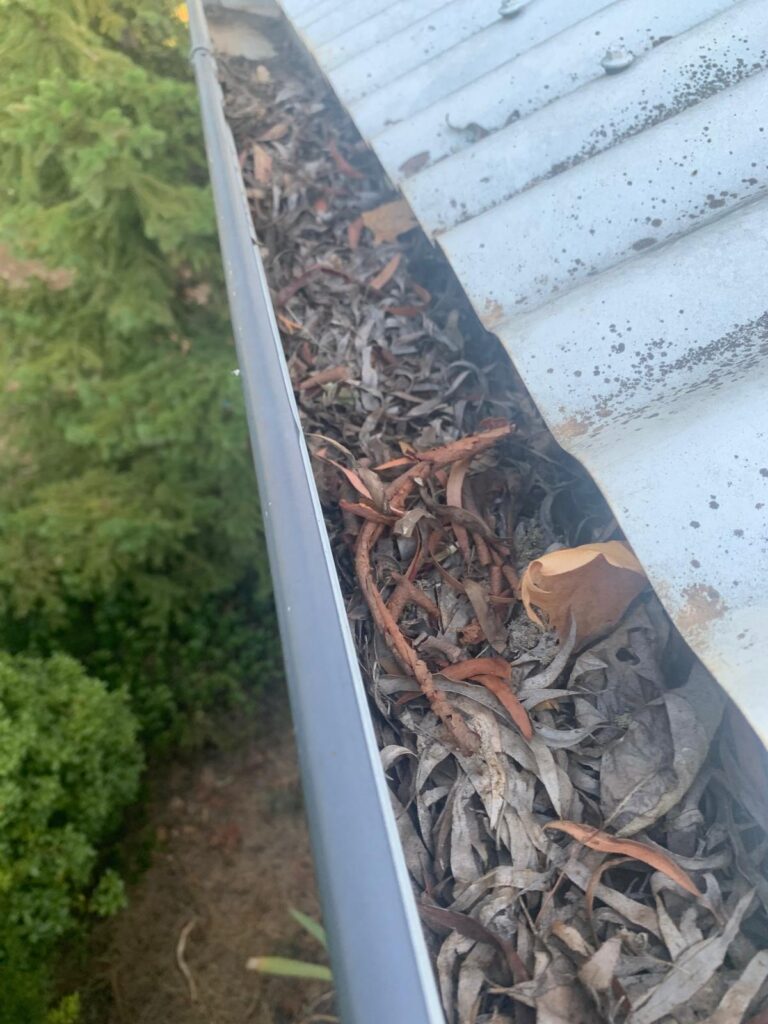 WhatsApp Image 2026-01-27 at 22.33.05 (1)