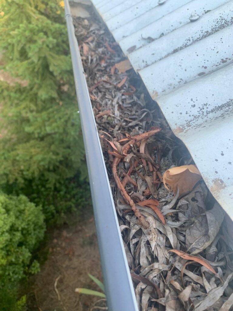 WhatsApp Image 2026-01-27 at 22.33.05 (2)