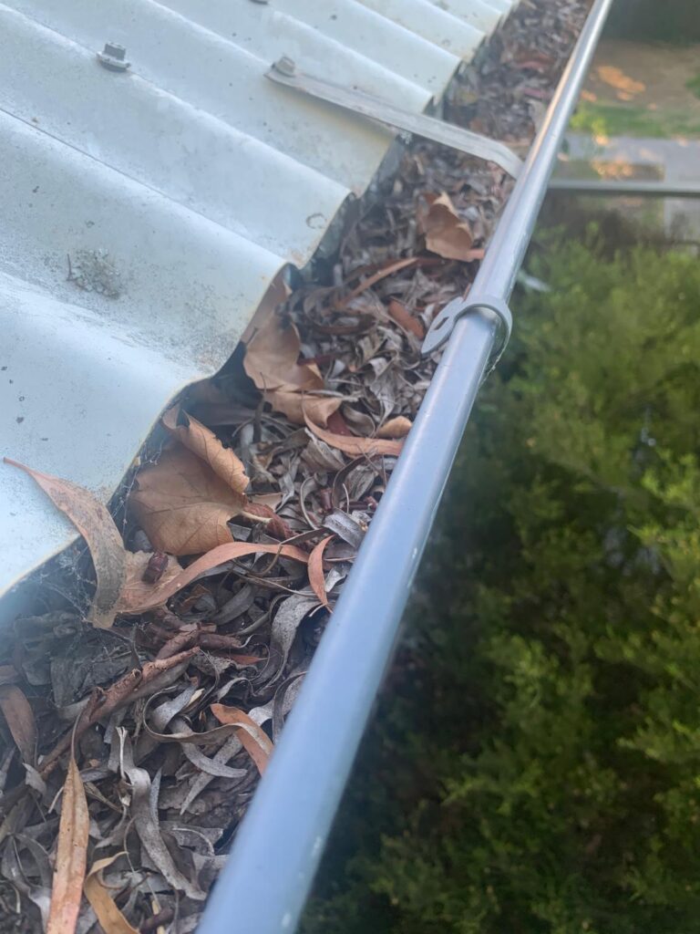 WhatsApp Image 2026-01-27 at 22.33.05