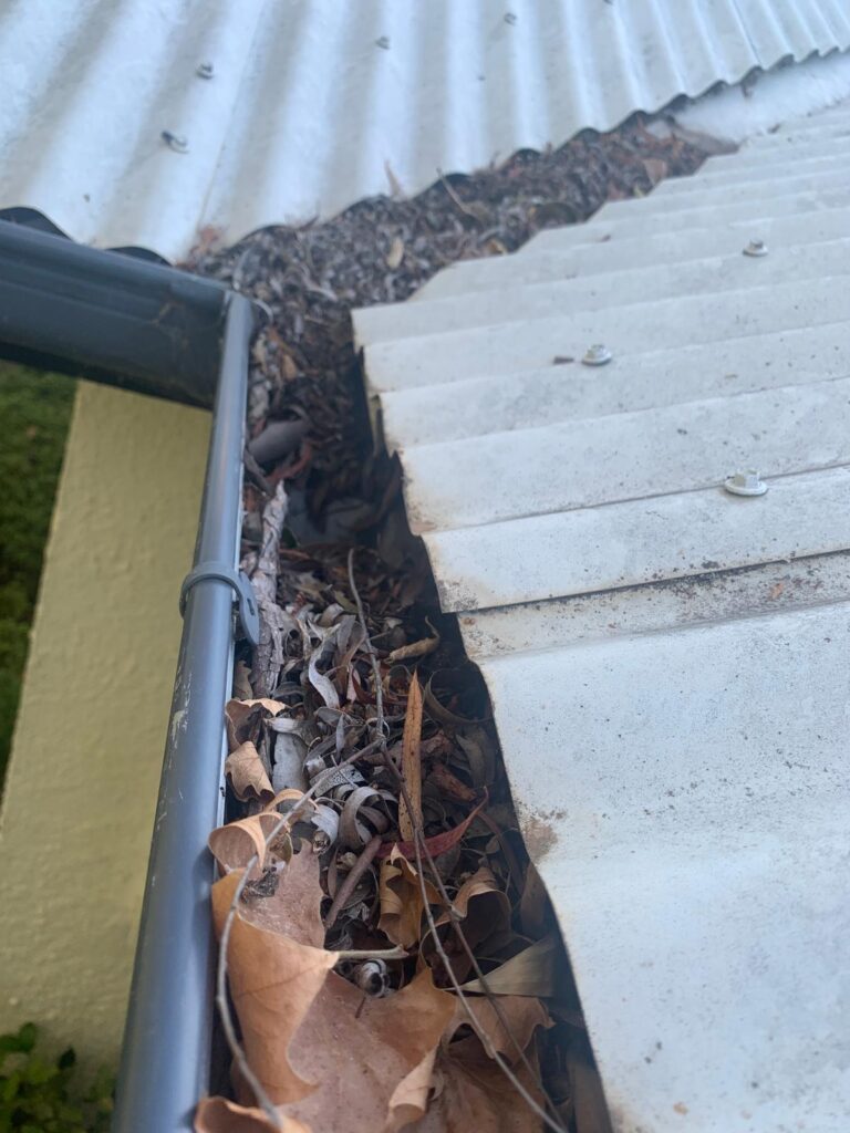 WhatsApp Image 2026-01-27 at 22.33.06 (1)