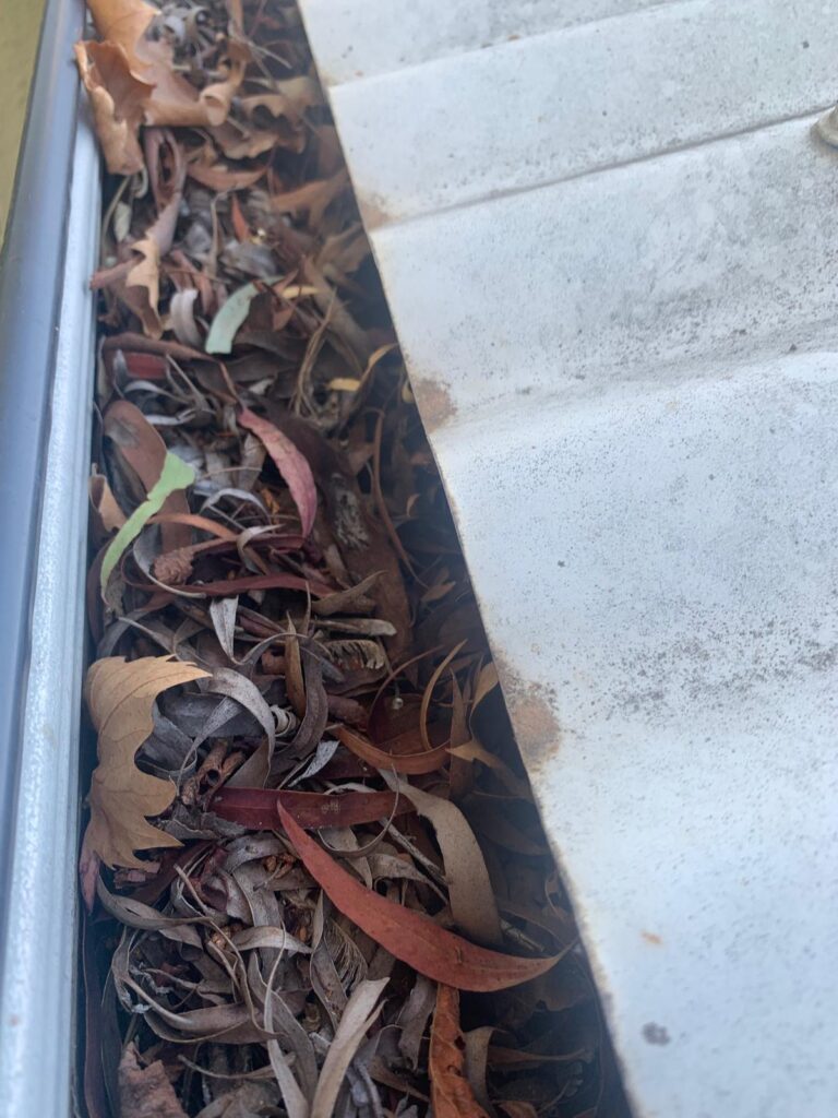 WhatsApp Image 2026-01-27 at 22.33.06 (2)