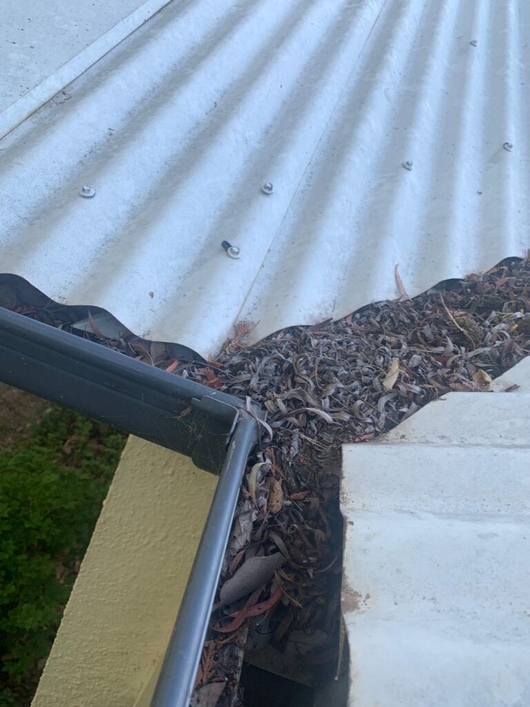 WhatsApp Image 2026-01-27 at 22.33.06