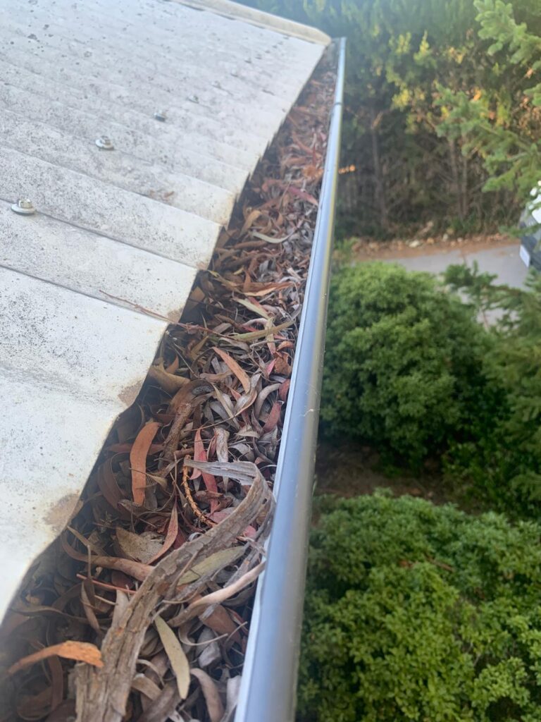 WhatsApp Image 2026-01-27 at 22.33.07