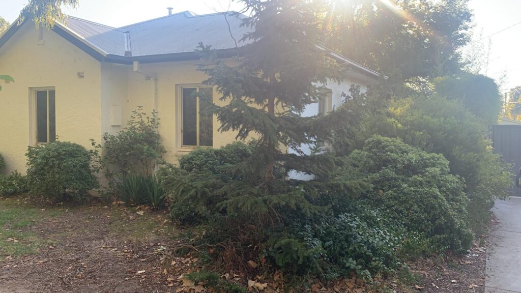 WhatsApp Image 2026-01-27 at 22.33.08